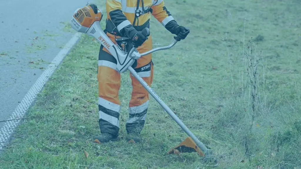 Bosmaaier keuren